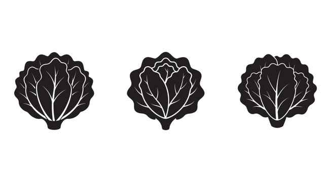 Black and white cabbage leaf silhouettes on white background  vegetable icons