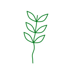 Obraz premium Leaves doodle 