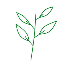 Fototapeta premium Leaves doodle 