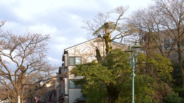 Traditional Architecture and Greenery in Kazuemachi Chaya District Kanazawa Japan