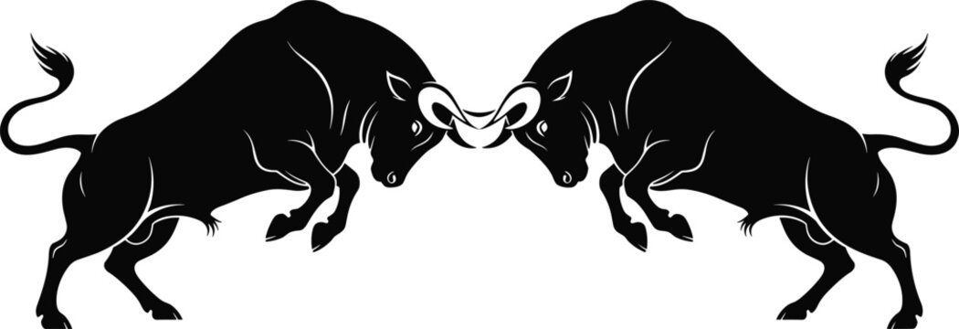Two powerful bull silhouettes fighting with horns locked in a fierce head-to-head battle representing strength, energy, and bull market finance.