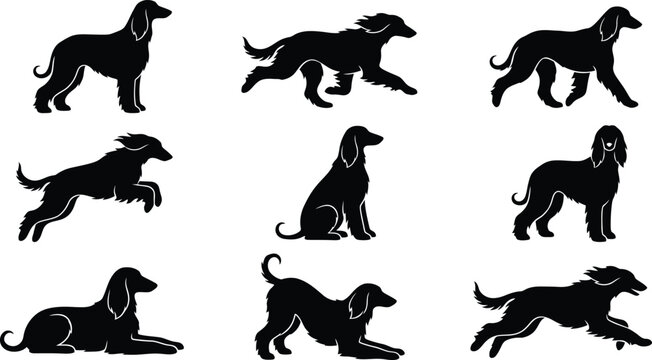 Silhuetas pretas de c&atilde;es da ra&ccedil;a Afghan Hound em diversas poses, incluindo de p&eacute;, correndo, sentado e deitado, em um fundo branco.