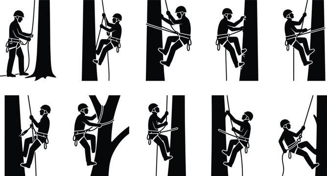 Sequ&ecirc;ncia detalhada de um arborista escalando uma &aacute;rvore usando cordas e equipamentos de seguran&ccedil;a, mostrando as etapas do processo.