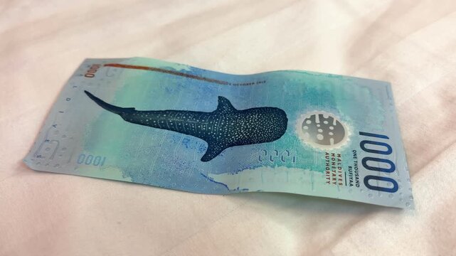 Maldives Rufiyaa Banknote Close Up Currency Money Detail 1000 bill whale shark