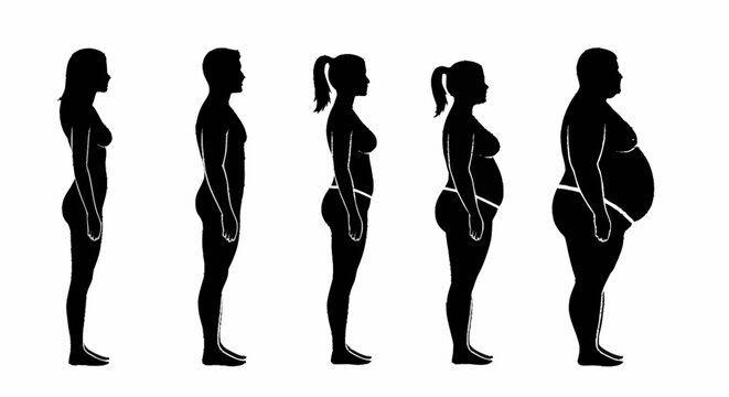 Pregnancy Stages Silhouette Female Body Profile.