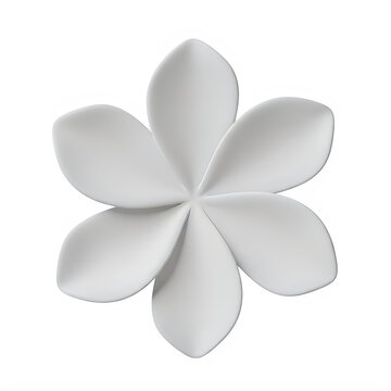 A white flower with six petals isolated on white background