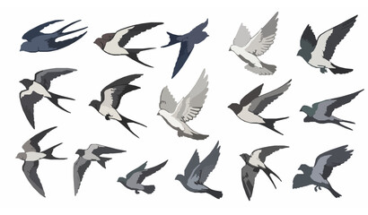 Fototapeta premium Hand Drawn Flying Birds Flock Illustration Swallow Dove Vector