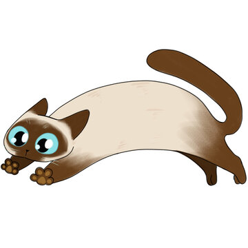 Ilustraci&oacute;n de gato Siames saltando