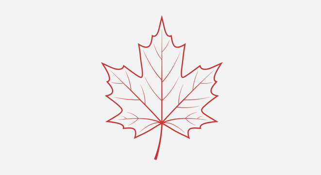 Red Maple Leaf Illustration Outline.