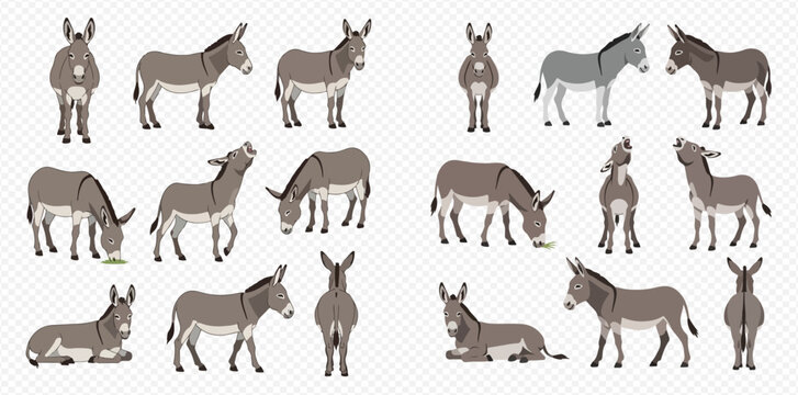Set of cartoon donkeys in various poses, including standing, eating, and lying down, isolated on a transparent background.