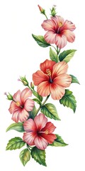 Fototapeta premium Elegant Watercolor Hibiscus Flower Arrangement, a Classic Tropical Floral Design