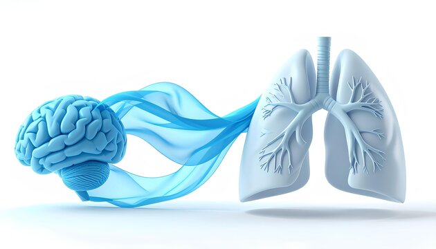 Brain and Lung Connection with Flowing Blue Fabric, Holistic Health Concept