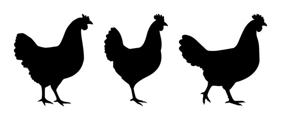 Fototapeta premium Chicken leg silhouette set with simple line art design featuring outline, illustration, graphic elements with clean design and vector art