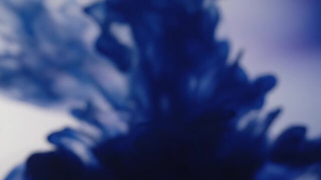 Dark blue ink cloud dissolving in clear water, abstract fluid motion