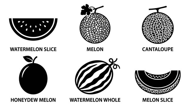 Collection of black and white illustrations showcasing various melons and slices, ideal for food design