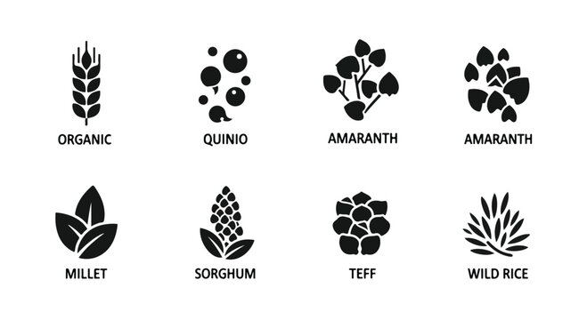 Grain icons, organic food symbols, quinoa, amaranth, millet, sorghum, teff, wild rice, healthy eating illustrations