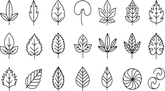 Minimalist Leaf Line Art Vector Set - Botanical Nature Icons for Eco Branding, Organic Logos, and Floral Designs