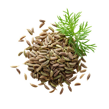Evenly spread fennel seeds across on transparent png background. Ai generated
