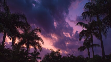 Obraz premium Pixelated Palm Trees Silhouetted Against a Dramatic Purple and Orange Sunset Sky With Dark Storm Clouds Gathering Overhead