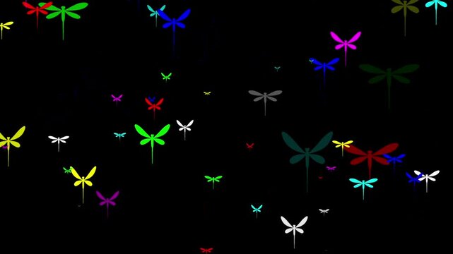 Colorful butterflies motion graphics with plain black background