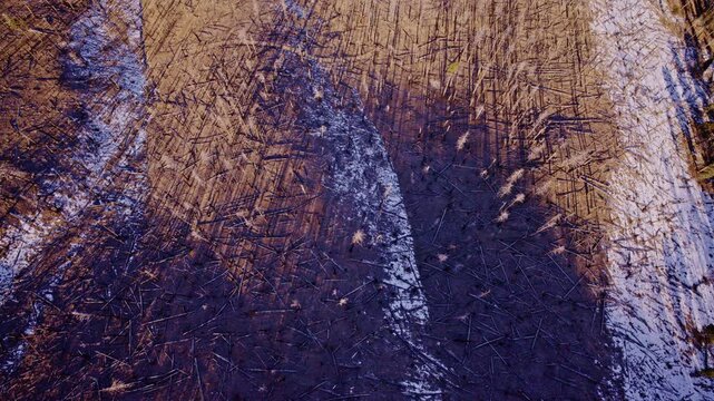 Aerial drone footage of wildfire-damaged mountain slope from lightning strike, charred forest and burn scars
