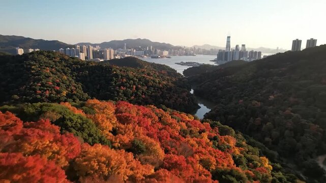 Autumn foliage covers rolling hills overlooking a distant urban cityscape