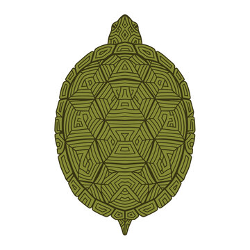 Green Turtle Shell Pattern Top View.