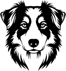 Fototapeta premium Australian Shepherd dog silhouette vector illustration