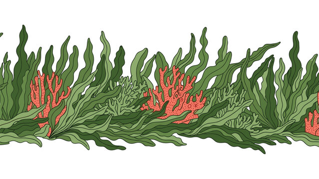 Beautiful underwater illustration showing a vibrant coral reef with green seaweed and pink corals along a white seabed border.