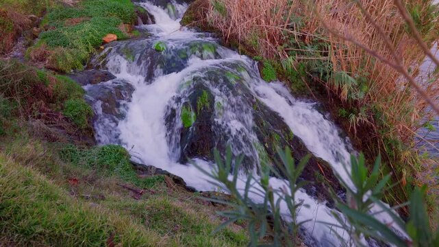 Mossy waterfall cascading over rocky slope, clear white water splitting into multiple streams and forming small pool, lush green moss and reed fringe, close perspective, perfect