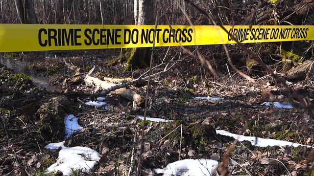 Yellow crime scene tape with the words crime scene do not cross cordoning off a wooded area with patches of melting snow, suggesting an investigation site in a forest during early spring