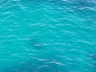 Fototapeta premium Sea blue water.