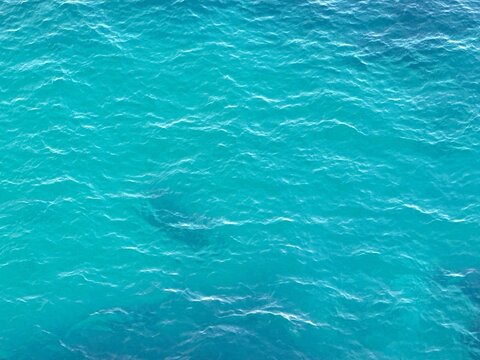 Sea blue water.