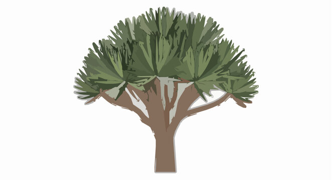 Dracaena draco Dragon Blood Tree vector icon EPS10 isolated on white
