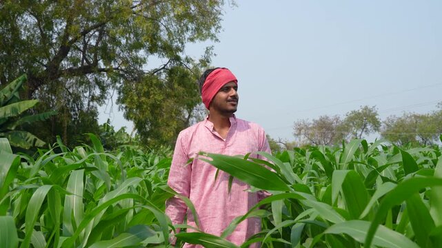 Happy indian farmer standing at corn agriculture field 