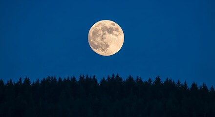 Fototapeta premium Full Moon Rising Above the Forest at Night.