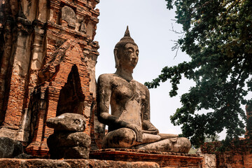 Fototapeta premium Worship of Thailand,Buddha statue,History of Thailand,Buddha statue Temple of Ayutthaya Province. Ayutthaya Historical Park, Thailand