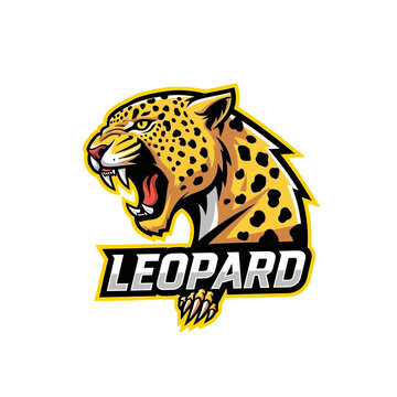 Fierce Leopard Head Mascot Logo Design with Roaring Expression.