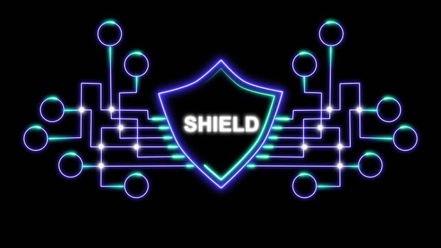 Digital Shield Security Concept Illustration