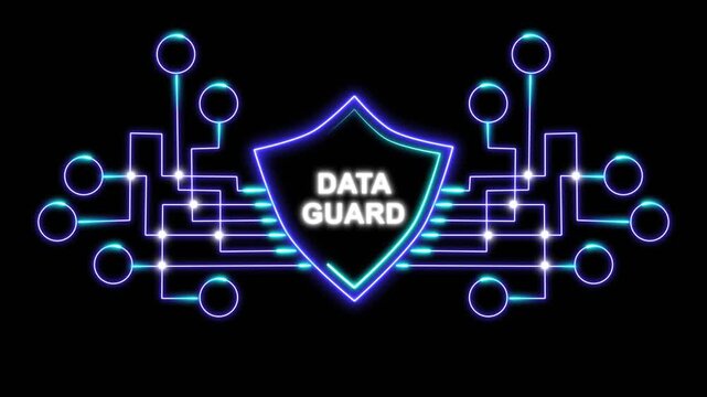 Data Guard Protection Shield Illustration
