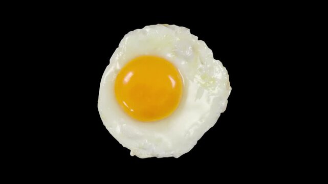 Animated Sunny Side Up Fried Egg with Alpha Channel
