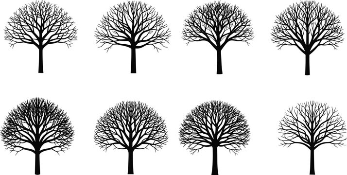 Leafless tree silhouettes, winter forest icons, bare branches vector, botanical illustration, nature graphic design, seasonal landscape symbol, artistic tree set