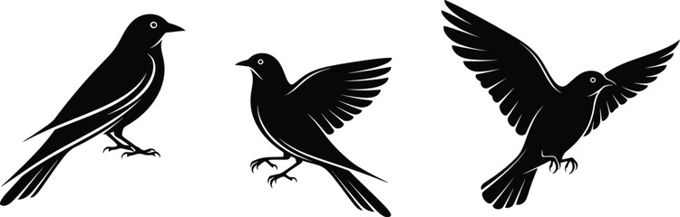 Obraz premium Black Bird Trio Silhouette: Three black birds captured in a monochromatic illustration. Each bird strikes a unique pose, evoking a sense of grace and freedom.