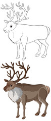 Obraz premium Reindeer Vector Illustration with Outline and Colored Versions for Coloring