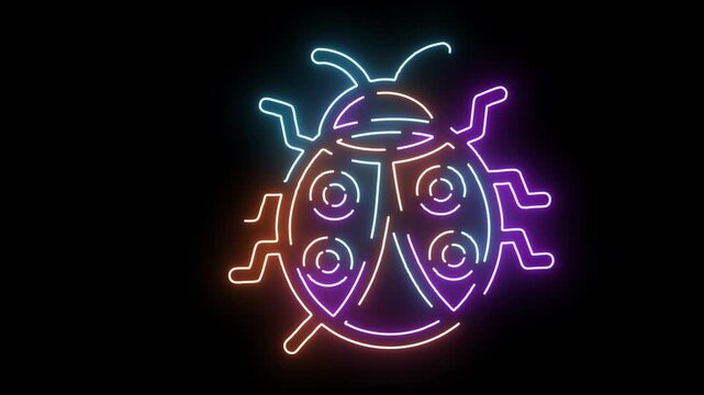 Neon ladybug with patterned shell on black background insect beetle