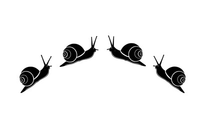 Arc layout Amphidromus snail icon rare mollusk vector set © Opurbo
