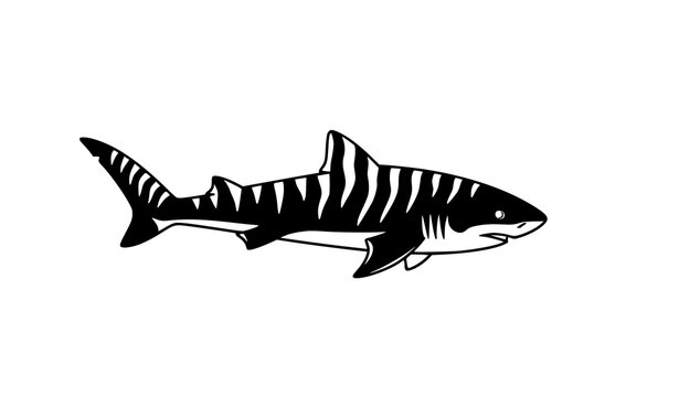 Zebra shark icon rare marine fish silhouette vector illustration