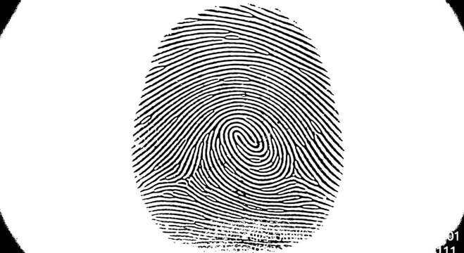 Fingerprint with black lines and spiral pattern on white background featuring biometric, identification, security with authentication and texture