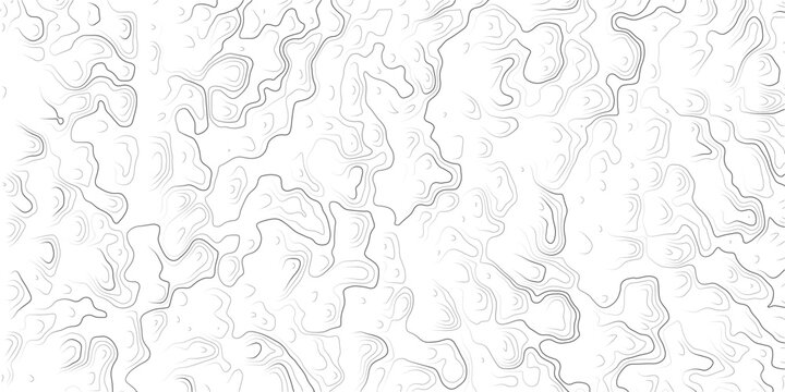 Topographic map illustration with wavy lines and contours on white