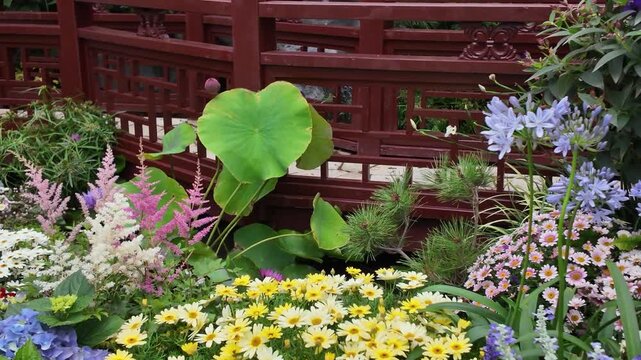 Colorful landscaped garden display featuring vibrant seasonal flowers March 21 2026